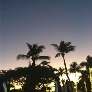 Meet your Posher, Mia